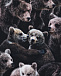 Толстовка Eloy Bears Molo | Фото 3