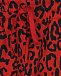 Красные спортивные брюки с леопардовым принтом Dolce&Gabbana | Фото 3