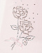 Розовые колготки с розами из стразов Story Loris | Фото 2