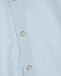 Голубая рубашка с короткими рукавами slim Silver Spoon | Фото 4