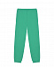 Зеленые спортивные брюки с лого Les Coyotes de Paris | Фото 2