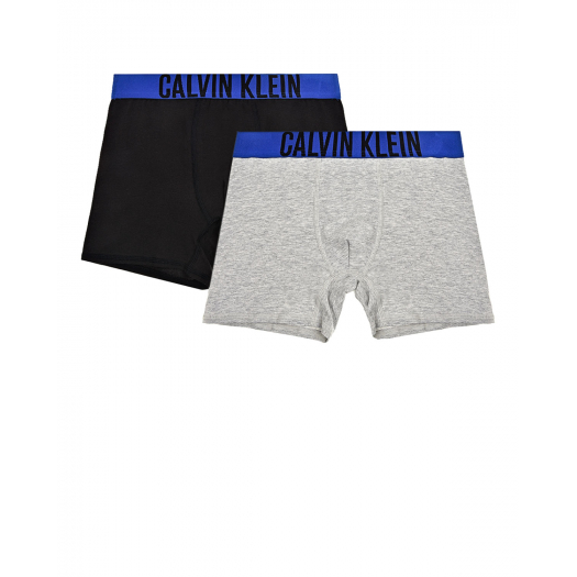 Трусы-боксеры, серый/синий Calvin Klein | Фото 1