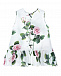Платье из поплина с принтом &quot;Тропические розы&quot; Dolce&Gabbana | Фото 2