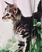 Юбка Brenda Yin Yang Kitten Molo | Фото 3