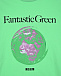 Зеленая футболка с принтом &quot;Fantastic Green&quot; MSGM | Фото 3