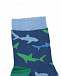Синие носки с принтом &quot;акулы&quot; Story Loris | Фото 2