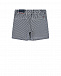Серые шорты в полоску Tommy Hilfiger | Фото 2