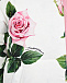 Двухсторонний летний пуховик с принтом &quot;розы&quot; Dolce&Gabbana | Фото 5
