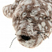 Игрушка мягконабивная Тюлень Jellycat | Фото 4
