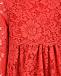Красное кружевное платье Dolce&Gabbana | Фото 3