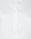 Белая классическая блуза Dan Maralex | Фото 7