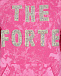 Толстовка-худи с декором &quot;The Forte&quot; Forte dei Marmi Couture | Фото 3