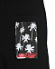 Черные спортивные брюки с белым логотипом MSGM | Фото 4