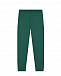 Зеленые спортивные брюки с белым лого Emporio Armani | Фото 3