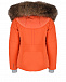 Комплект: куртка и брюки, оранжевый Poivre Blanc | Фото 3