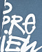 Синяя футболка с белым лого 5 Preview | Фото 3