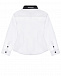 Белая рубашка с черным воротником Emporio Armani | Фото 2