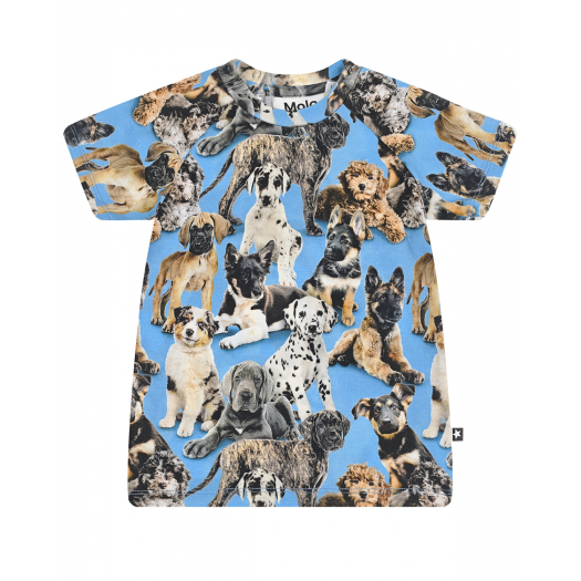 Голубая футболка Emmet Pups Molo | Фото 1