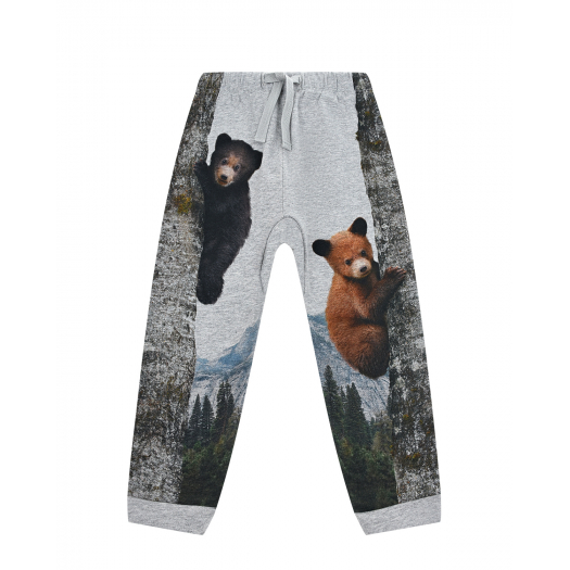 Серые спортивные брюки Saabe Climbing Bears Molo | Фото 1