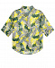 Рубашка с растительным принтом Dan Maralex | Фото 2