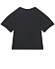 Черная футболка с белым лого Dolce&Gabbana | Фото 2