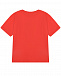 Красная футболка с принтом &quot;мишка с сердцем&quot; Moschino | Фото 3