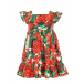 Платье и штанишки с принтом &quot;герань&quot; Dolce&Gabbana | Фото 1