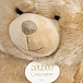 Мягкая игрушка &quot;Медведь&quot;, бежевый Doudou et Compagnie | Фото 4