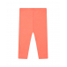Оранжевые леггинсы Sanetta Kidswear | Фото 1