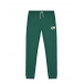 Зеленые спортивные брюки с белым лого Emporio Armani | Фото 1
