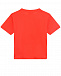 Красная футболка с принтом &quot;медвежонок&quot; Moschino | Фото 2