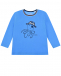 Голубая толстовка с принтом &quot;Осьминог-пират&quot; Sanetta Kidswear | Фото 1