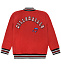Спортивная куртка DG millenials красного цвета Dolce&Gabbana | Фото 2