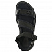 Базовые черные сандалии Dolce&Gabbana | Фото 4