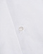 Рубашка белого цвета Dal Lago | Фото 3