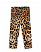 Бархатные леопардовые брюки Dolce&Gabbana | Фото 2