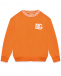 Свитшот с лого, оранжевый Dolce&Gabbana | Фото 1