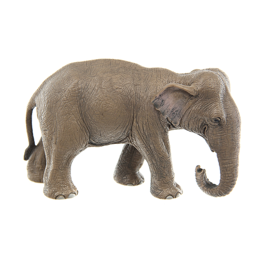Игрушка SCHLEICH Азиатский слон, самка  | Фото 1