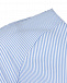 Рубашка для беременных Attesa удлиненная в мелкую голубую полоску  | Фото 7
