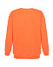 Оранжевый свитшот для беременных с вышивкой &quot;Мыши&quot; Dan Maralex | Фото 5