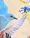 Леггинсы с принтом &quot;разноцветные птицы&quot; Molo | Фото 3