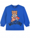 Синий свитшот с принтом &quot;Медвежонок на скейте&quot; Moschino | Фото 1