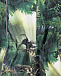 Комбинезон Polaris Fur Dino Forest Molo | Фото 4
