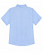 Голубая рубашка с короткими рукавами Dal Lago | Фото 3