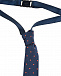 Синий галстук в красный горошек Aletta | Фото 4