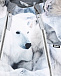 Комбинезон с принтом Polar Bear Molo | Фото 4