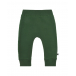 Зеленые спортивные брюки Molo | Фото 1