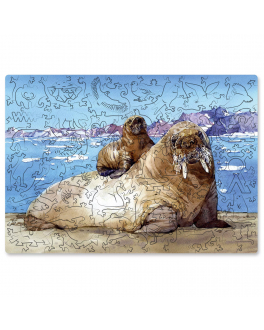 Деревянный пазл «Атлантический морж» коллекция WWF России DaVICI , арт. 7-65-20-150 | Фото 1