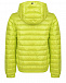 Зеленая глянцевая куртка Herno | Фото 2