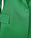 Зеленый укороченный пиджак Parosh | Фото 7